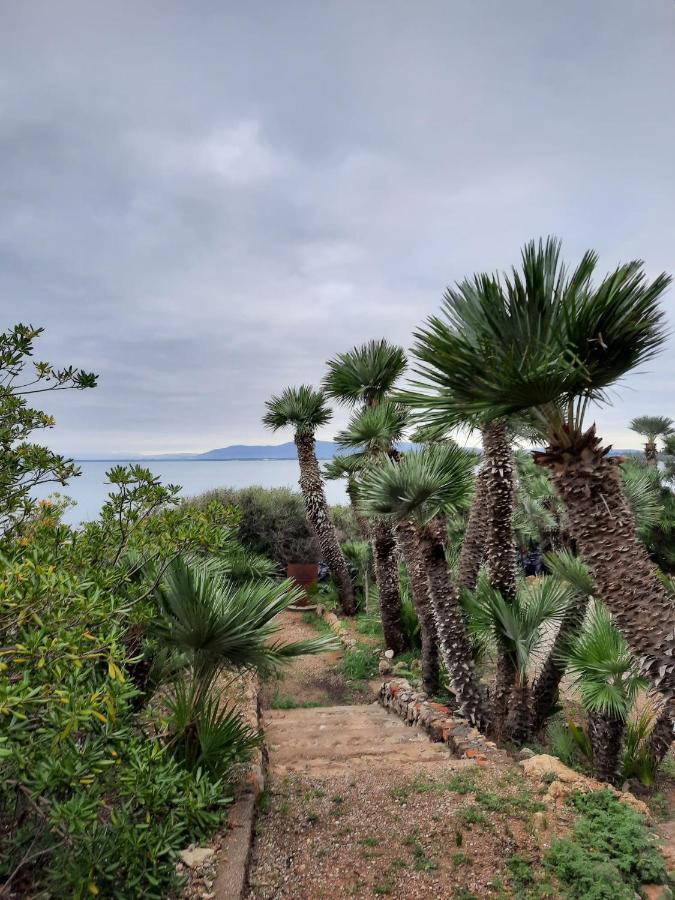 Villa Flora Argentario Porto Santo Stefano  Exterior foto